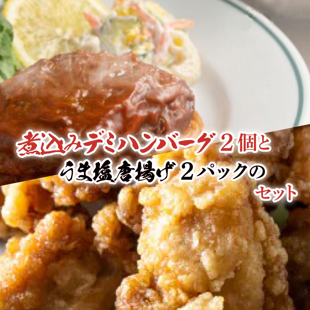 【ふるさと納税】煮込み デミグラス ハンバーグ 2個 と うま塩から揚げ 500g セット