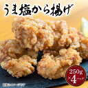 【ふるさと納税】うま塩 から揚げ 合計 1kg 250g×4パック