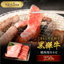 焼肉で一番の人気は、やっぱりカルビ！ 自社ブランド黒毛和牛「黒樺牛」の絶品カルビは、とろける霜降り肉から和牛の旨みが濃厚な赤身等、黒毛和牛だけのカルビです。 高級焼肉店のお肉をご家庭で味わうことができます。 「黒樺牛」が支持される4つの理由 1.「独特の甘み」 黒樺牛には肥育のこだわりが育んだ独特の「甘み」があります。 これは黒樺牛の上質さの証とも言える脂肪部分の甘みがあるからです。 食べた皆さんからよく評価をいただく大きな特徴です。 2.「ジューシーなやわらかさ」 黒樺牛の脂肪の質は極めて上質です。そのため脂肪の融点が低く、指で触っただけでも体温でとけるくらいのやわらかさと、 とろけるような食感があります。肉本来の味と脂肪が溶け合って、ジューシーなおいしさが広がります。 3.「肉のツヤ」 清潔で管理の行き届いた牛舎で育った黒樺牛の肉には独特の色ツヤがあります。 この芸術品とも言える鮮やかな「サシ（赤みと脂の混じり具合）」は高級黒毛和牛ならではの特徴です。 脂肪と赤身の絶妙バランスが生み出した「ツヤ」も美味しさのひとつです。 4.「様々な食べ方で」 黒樺牛はその部位の個性を活かしていろいろな楽しみ方ができるのも特徴のひとつです。 ステーキや焼き肉はもちろん、「しゃぶしゃぶ」「すきやき」「カレー」など、毎日の食卓を飾る楽しさを安価な価格で楽しんでいただけます。 商品説明 名称 九州産黒毛和牛 黒樺牛 A4~A5等級 焼肉用カルビ250g 産地 九州産 内容量 250g×1パック 賞味期限 製造日より90日 保存方法 冷凍庫にて保管してください 提供者 株式会社 杉本本店 注意事項 ※調理画像はイメージです。 「母乳育成」健康な牛をつくるための矢岳牧場のとりくみ 美味しく安全・安心な牛肉づくりには、まず「牛そのものが健康でなければならない」という考えが、私たち杉本本店の創業以来、変わらぬポリシーです。 健康で丈夫な身体をつくるため最も大切にしているのは、子牛が産まれたら母牛の母乳を与えること。 そしてさらに丈夫な身体の基盤をつくるために、産まれてから2週間を親子で飼育することです。 母乳には免疫の強化だけでなく、健康に育つための成分が含まれており、親子で飼育することでストレスを無くすことが可能になるからです。 子牛は母乳を4番目の胃で飲みながら胃袋を発達させていくと言われています。 胃袋が発達していく段階に添って粗飼料に変化させることで、自然な成長サイクルが維持され「健康な牛」として成長していくのです。 絶妙のバランス。それが「黒樺牛」のおいしさです。 私たち杉本本店は牛への長年の育成技術に基づいた上で、肉質などを見極めながら「黒樺牛」ブランドの名に恥じない牛のみを、厳しい品質管理基準を通して出荷しています。 「香り」「味覚」「食感」の絶妙なバランスがとれた厳選された黒樺牛として皆様にお届けしています。 歴史 1947年の創業時は食肉の卸売業としてスタートしましたが、現在は牛の繁殖から肥育、生産、販売までを一貫して行っています。 牛の生産者の高齢化や輸入肉の増加などで和牛が年々減少していく中で、消費者に牛肉を安定供給できなくなるのではという危機感を持ったのが、事業の幅を広げた理由です。 私たちは「安全・安心・高品質(信頼)を食卓へ」を経営理念に、時代環境の変化に速やかに対応できる、柔軟な会社経営を目指してまいりました。 常に、最新最善の方法を駆使して、お客さまにおいしくて安全で安心な牛肉・食品をお届けしています。 お礼の品に対する想い 和牛の頂点に立つ黒牛「黒樺牛」は、九州の厳選した素牛を育て上げた最高級黒毛和牛です。 「黒樺牛」の名前の由来は、『華やかさ』と厳寒の大地にどっしり根を張る落葉高木「白樺」の名に由来します。味にこだわればこそ、 肥沃な大地が育む滋養豊富な牧草、そして清らかな水にこだわりました。伝統の養牛技術が息づく九州で一番の生産地にあえて自社牧場を置き、 徹底された管理のもとに丹精込めて肥育された極上の味わいをぜひ一度ご賞味ください。 ・寄附申込みのキャンセル、返礼品の変更・返品はできません。あらかじめご了承ください。 ・ふるさと納税よくある質問はこちら寄附金の使い道について (1) 質の高い教育、文化の向上に関する事業 (2) 地場産業の育成と雇用の促進に関する事業 (3) 観光の振興に関する事業 (4) 健康づくりに関する事業 (5) 環境循環型社会の構築に関する事業 (6) その他目的達成のために市長が必要と認める事業 受領申請書及びワンストップ特例申請書について ■受領書入金確認後、注文内容確認画面の【注文者情報】に記載の住所に30日以内に発送いたします。 ■ワンストップ特例申請書入金確認後、注文内容確認画面の【注文者情報】に記載の住所に30日以内に発送いたします。