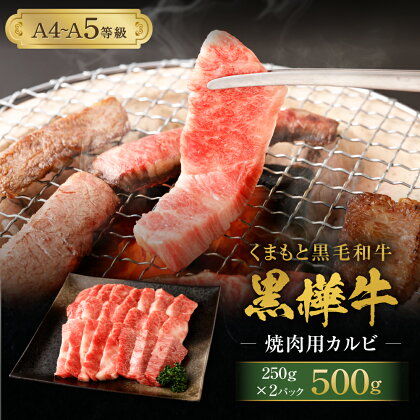 九州産黒毛和牛 黒樺牛 A4〜A5等級 焼肉用カルビ 合計500g (250g×2パック) 牛肉 カルビ 焼肉 焼き肉 和牛 牛 お肉 黒毛和牛 国産 冷凍 送料無料