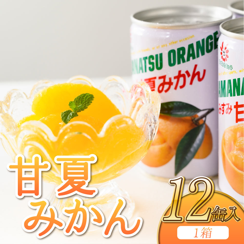 【ふるさと納税】甘夏みかん 甘夏缶詰 12缶 (1缶 固形量160g)