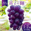 【ふるさと納税】先行予約【選べる容量】富士の輝 1房(約500g)もしくは 2房(約500g×2 計約1kg)【清水果樹園】ブドウ ぶどう 葡萄 大粒 種なし ...