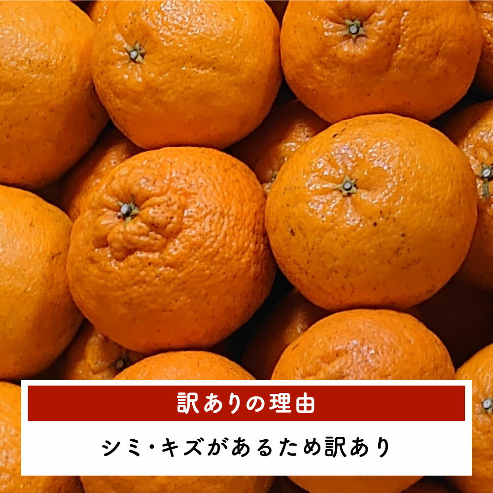 【ふるさと納税】【先行予約】 訳あり 不知火 約4.5kg（15～20玉）または 約9kg（30～35玉） 清水果樹園 ご家庭用 しらぬい みかん 蜜柑 ミカン オレンジ 柑橘 果物 くだもの フルーツ 国産 九州 熊本県 宇城市 送料無料 【2025年3月上旬から3月下旬発送予定】