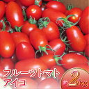 【ふるさと納税】宇城市産 フルーツトマト アイコ 約2kg しんたのトマト農園 【6月下旬までに発送予定】