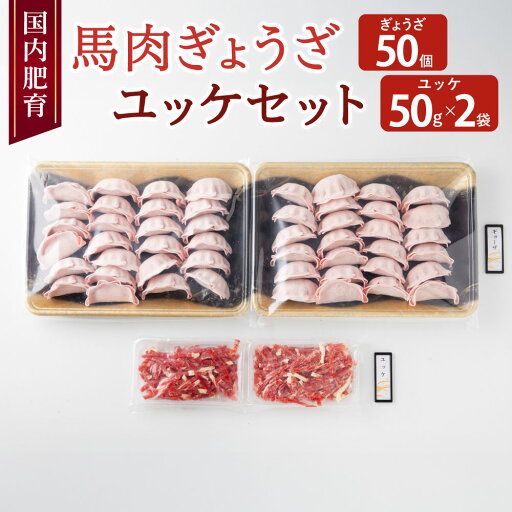 【ふるさと納税】【国内肥育】馬肉 ぎょうざ 50個 馬肉 ユッケ 100g セット ユッケタレ付き 【ふるさと納税】【国内肥育】馬肉 ぎょうざ 50個 馬肉 ユッケ 100g セット ユッケタレ付き