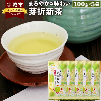 芽折新茶 5袋セット 100g×5袋 計500g 株式会社塩崎丸孝園 芽折 新茶 緑茶 茶葉 お茶 お茶の葉 日本茶 5個 セット 九州 熊本 小川町 贈答品 贈り物 結婚祝い 出産祝い 内祝い 国産 九州産 送料無料 【2024年5月下旬から6月下旬順次発送予定】