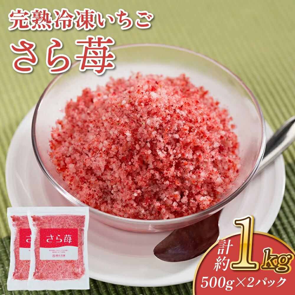 【ふるさと納税】完熟 冷凍 いちご さら苺 500g×2パック 合計1kg 園村苺園