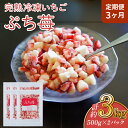 【ふるさと納税】【定期便3ヶ月】完熟 冷凍 いちご ぷち苺 500g×2パック 園村苺園 定期便 1回あたり 合計1kg 3回定期便 合計3kg 3ヶ月
