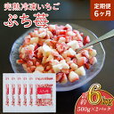【ふるさと納税】【定期便6ヶ月】完熟 冷凍 いちご ぷち苺 500g×2パック 園村苺園 定期便 1回あたり 合計1kg 6回定期便 合計6kg 6ヶ月