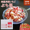 【ふるさと納税】【定期便12ヶ月】完熟 冷凍 いちご ぷち苺 500g×2パック 園村苺園 定期便 1回あたり 合計1kg 12回定期便 合計12kg 12ヶ月