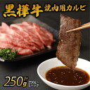 【ふるさと納税】 A4〜A5等級 焼肉用 カルビ 合計250g 九州産黒毛和牛 黒樺牛 牛肉 焼肉 焼き肉 和牛 牛 黒毛和牛 国産 冷凍 送料無料