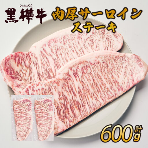 【ふるさと納税】A4〜A5等級 肉厚サーロインステーキ 合計600g (300g×2枚) 九州産黒毛和牛 黒樺牛 【ふるさと納税】A4〜A5等級 肉厚サーロインステーキ 合計600g (300g×2枚) 九州産黒毛和牛 黒樺牛