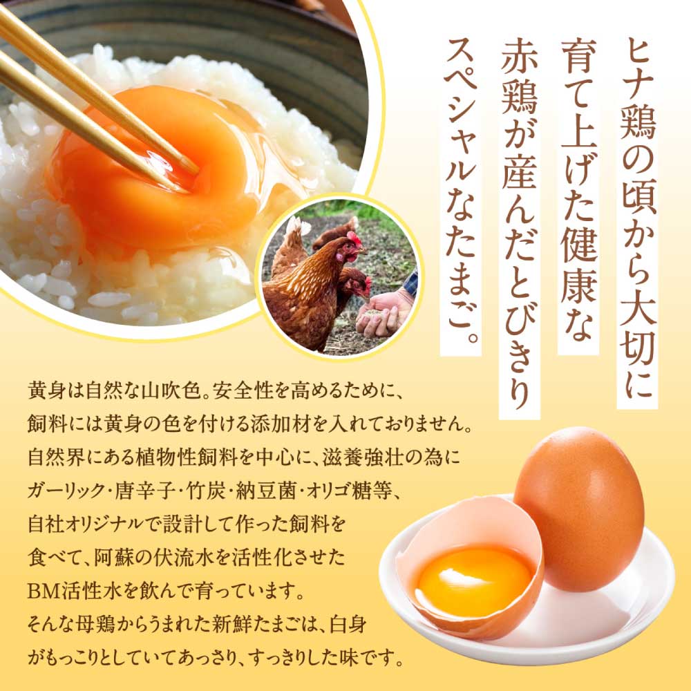 【ふるさと納税】 卵 朝採り さくらたまご 90個入 10個破損補償含む Mサイズ