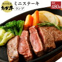 熊本県産 あか牛 ミニステーキ ランプ 合計480g 120g×4パック ステーキ 牛肉 肉 赤牛 熊本 九州 国産 冷凍 送料無料