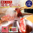 yӂ邳Ɣ[Łz  JrēpE₫Ԃԗp e800g v1.6kg Zbg    ԋ  BBQ ₫ɂ Ă ₫ Ԃ Hi Y BY F{Y Ⓚ 