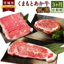 【ふるさと納税】くまもとあか牛 厳選 3ヶ月 定期便 合計約4kg 3回 あか牛 シャトーブリアン サーロイン ステーキ すき焼き しゃぶしゃぶ GI認証 お肉 和牛 熊本県産 九州産 国産 冷凍 送料無料