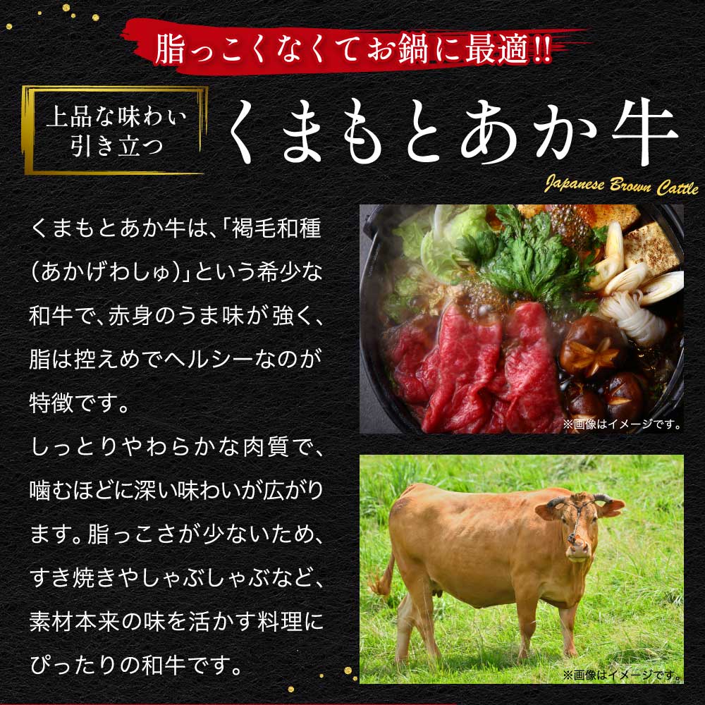 熊本県宇城市の画像3