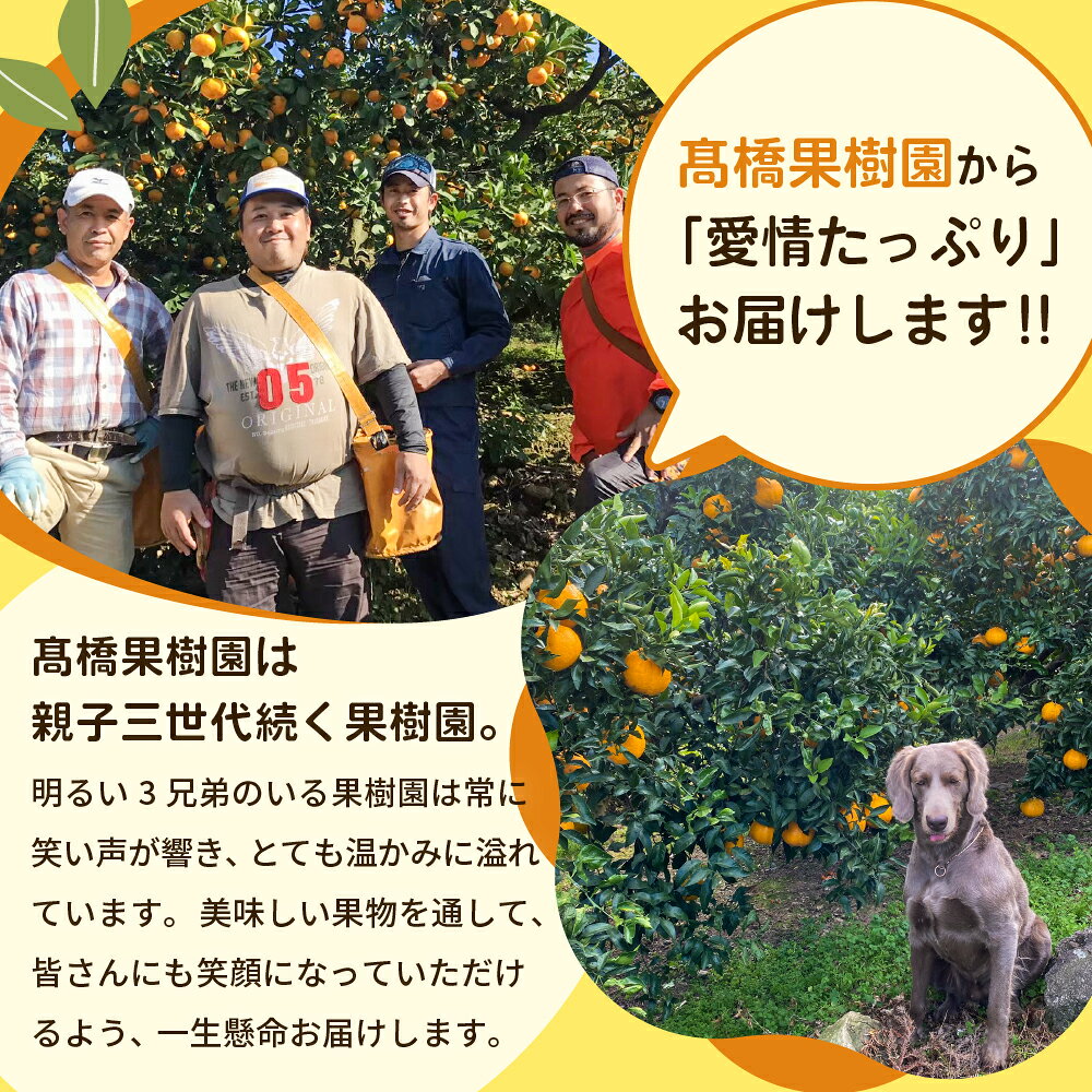 熊本県宇城市の画像2