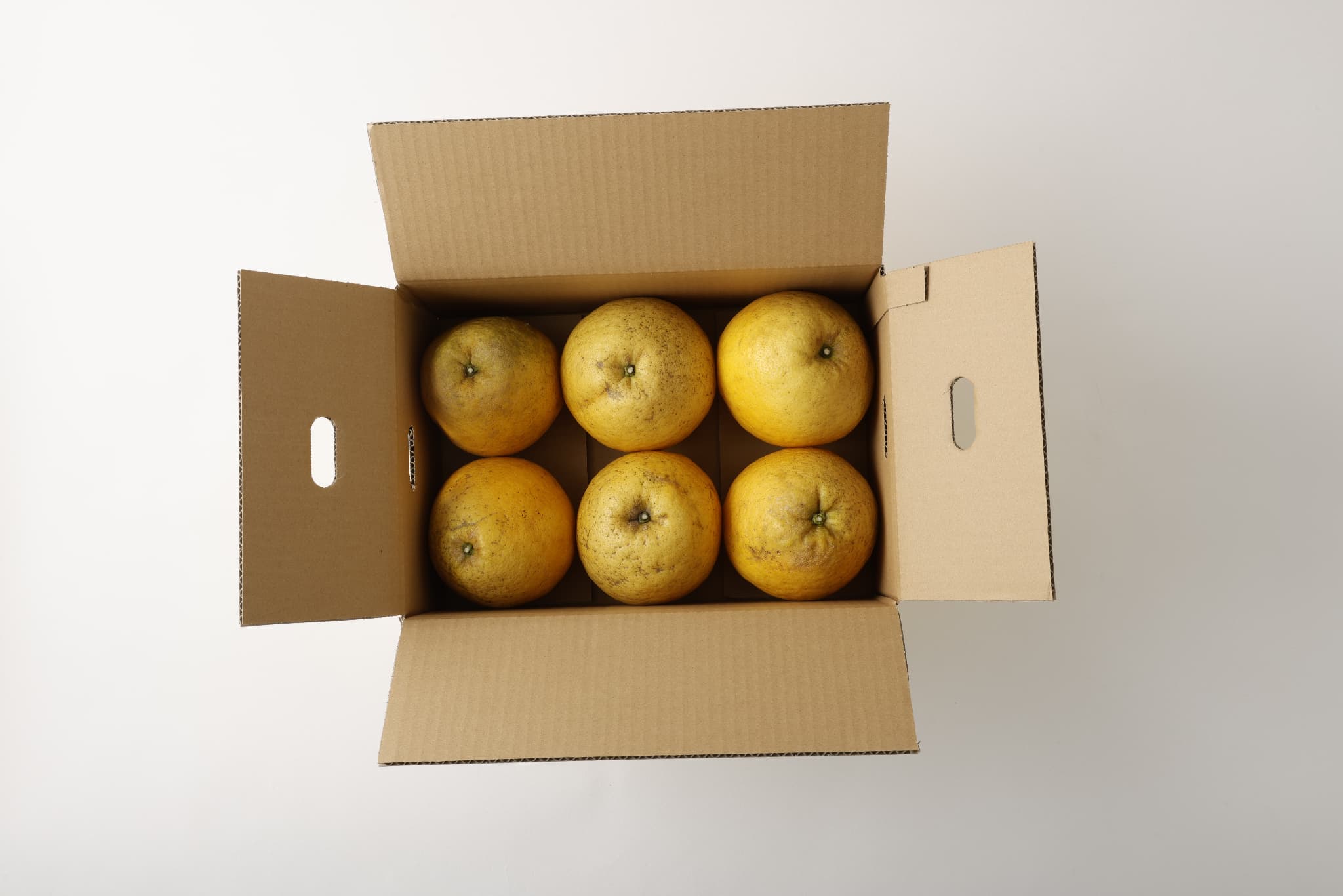 熊本県宇城市の画像3