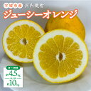 【ふるさと納税】 先行予約 みかん 河内晩柑 ジューシーオレンジ 【選べる内容量】 約4.5kg もしくは 約10kg 高橋果樹園 サイズ不揃い ばんかん 晩柑...