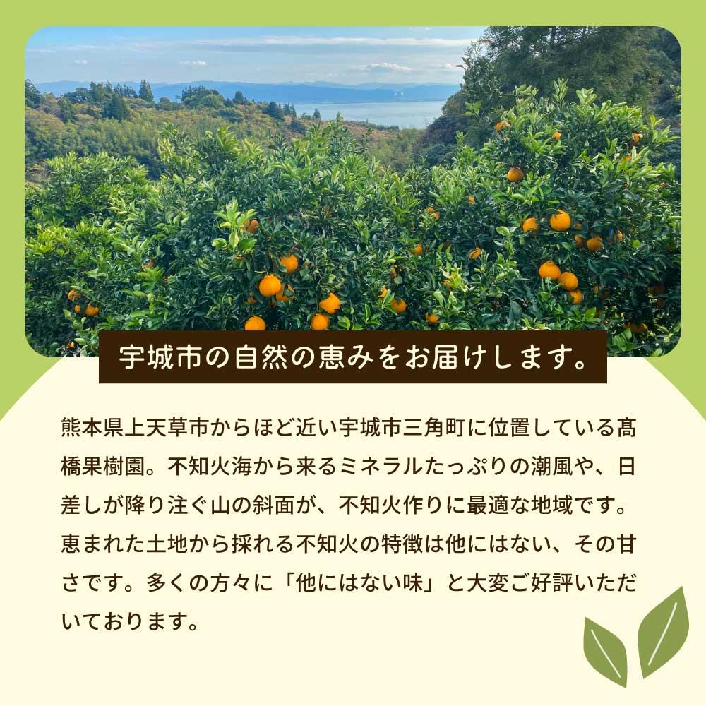 熊本県宇城市の画像3