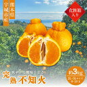 【ふるさと納税】【先行予約】 完熟 不知火 化粧箱入り 約3kg 2L〜5Lサイズ 8~10玉 高橋果樹園 【2026年2月上旬から3月下旬発送予定】しらぬい ...