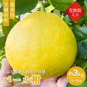 【ふるさと納税】【先行予約】パール柑 化粧箱入り 3kg 5玉〜9玉 高橋果樹園 ぱーるかん 柑橘 熊本県産 九州産 国産 送料無料 【2026年3月上旬から4...
