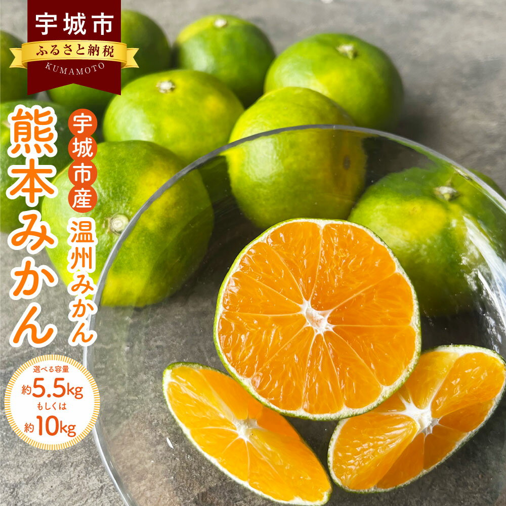 12位! 口コミ数「0件」評価「0」【先行予約】 熊本みかん（2S～2L）約5.5kg または 約10kg 合同会社宝Farm 温州みかん みかん ミカン 蜜柑 果物 くだもの･･･ 