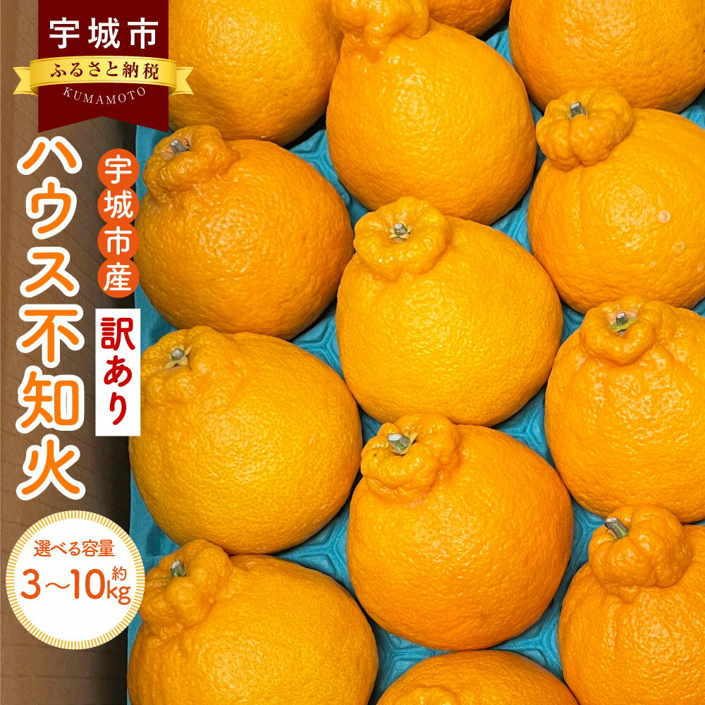 25位! 口コミ数「0件」評価「0」【先行予約】 訳あり ハウス 不知火 選べる容量 （約3kg/約5kg/約10kg） 合同会社宝Farm しらぬい みかん ミカン 柑橘 ハ･･･ 