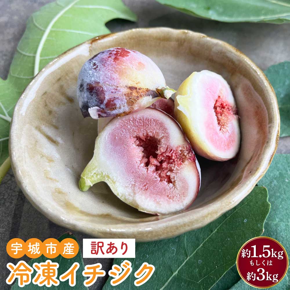 イチジク 訳あり 冷凍イチジク [選べる 内容量 約1.5kg(15~25玉)もしくは 計約3kg 約1.5kg×2パック(30~50玉)] 冷凍 熊本県産 宇城市産 国産 九州 熊本県 宇城市 送料無料