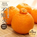 【ふるさと納税】不知火 先行予約 訳あり 冨田さん家の不知火 路地栽培 5kg しらぬい みかん 蜜柑 柑橘 常温 家庭用 自宅用 不揃い デコなし 傷あり B...