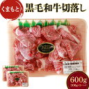 【ふるさと納税】くまもと黒毛和牛 切落し 合計600g (300g×2パック) 牛肉 牛 和牛 黒毛和牛 冷凍 熊本県産 九州産 国産 送料無料