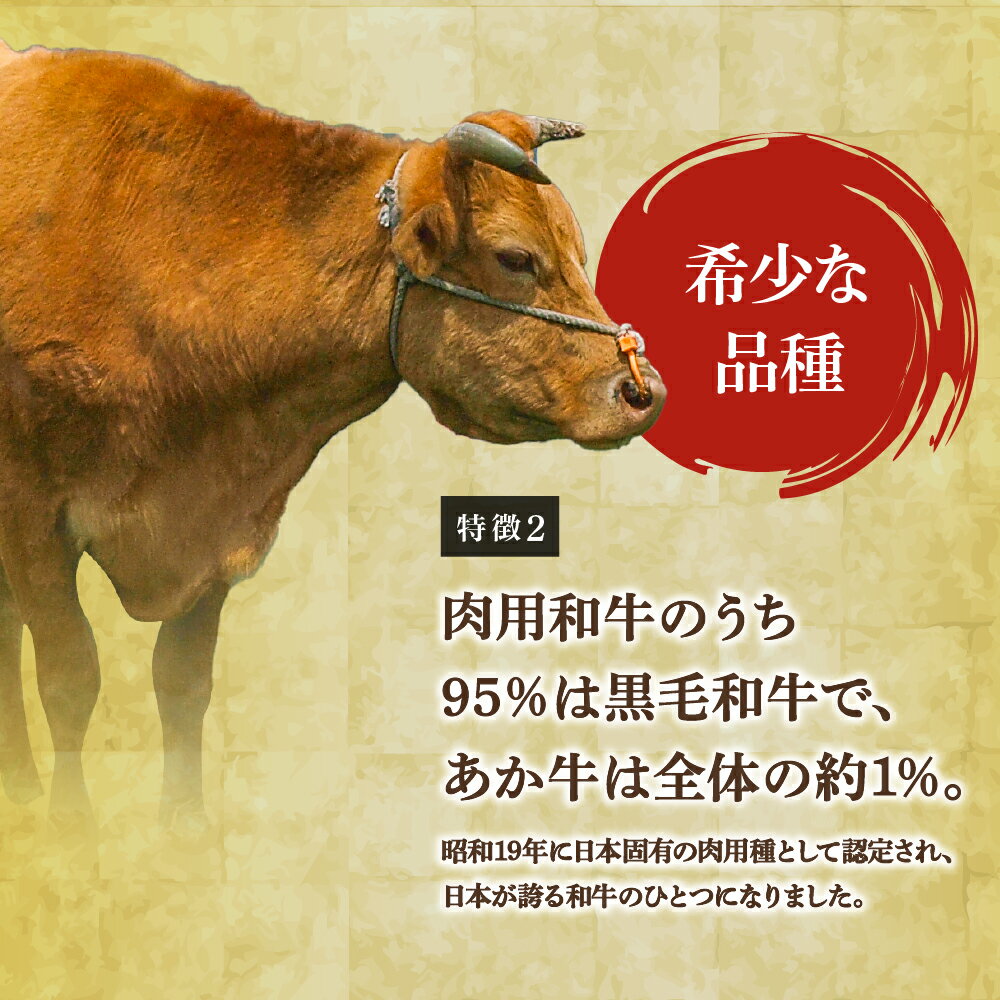 熊本県宇城市の画像2