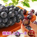 【ふるさと納税】 種無しピオーネ 約1.5kg 3～5房 株式会社津志田 ピオーネ ぶどう 葡萄 ブドウ 果物 フルーツ 熊本県産 宇城市産 送料無料 【7月上旬～7月下旬発送予定】