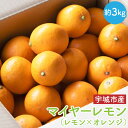 商品画像1
