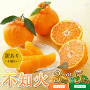 【ふるさと納税】宇城市産 訳あり品 不知火 約3kg 11玉前後 もしくは 約5kg 20玉前後 うちやま果樹園 【2025年3月上旬から6月下旬発送予定】