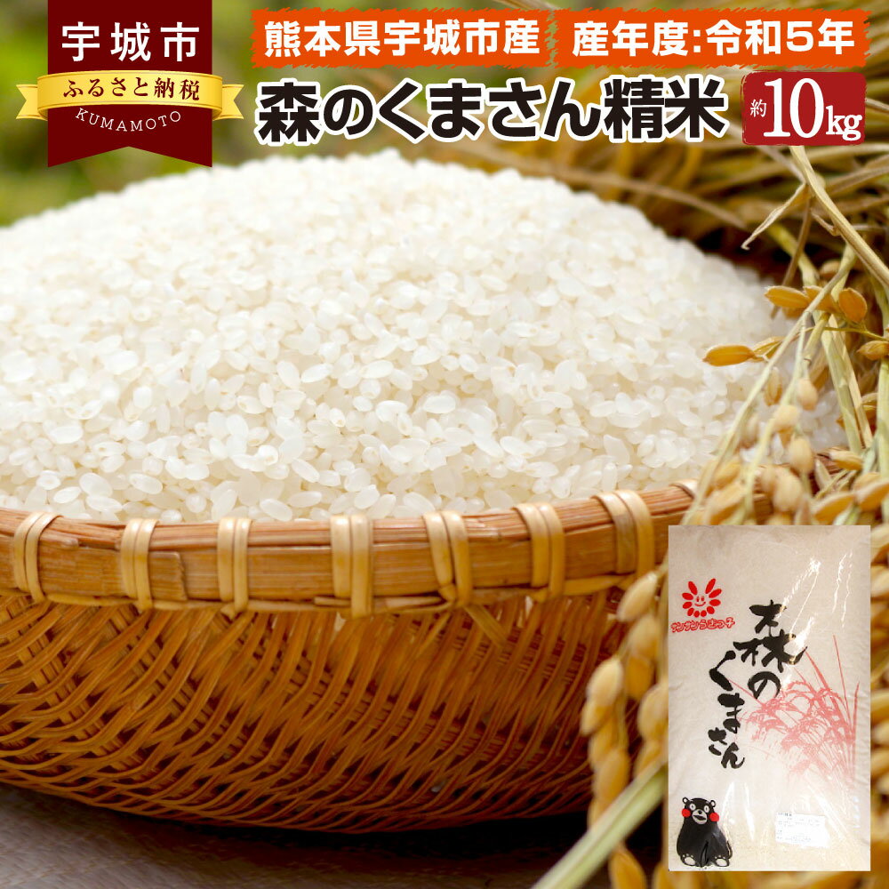 [令和5年産]森のくまさん精米 約10kg 米 こめ コメ おこめ 白米 精米 宇城市産 熊本県産 九州産 送料無料