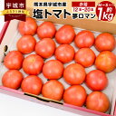 塩トマト 夢ロマン 約1kg 赤箱 M～Sサイズ（12～20玉） 宇城彩館 糖度8度以上 野菜 果実 フルーツトマト 宇城市産 国産 九州 熊本県 宇城市 送料無料 