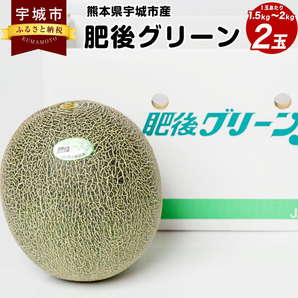 宇城市産 肥後グリーン メロン 2玉 3〜4Lサイズ (1玉当たり 約1.5kg〜2kg) ※箱、風袋別の重量 サンサンうきっ子宇城彩館 メロン お取り寄せ フルーツ 果物 くだもの 食品 常温 国産 九州産 熊本県産 宇城市 送料無料 [5月下旬〜6月上旬に順次発送予定]