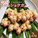 【ふるさと納税】【先行予約】【2025年10月中旬から2025年12月下旬より順次発送予定】熊本県宇城市産 囲い生姜 土付き 「ちょっとよかショウガ」 2kg ...