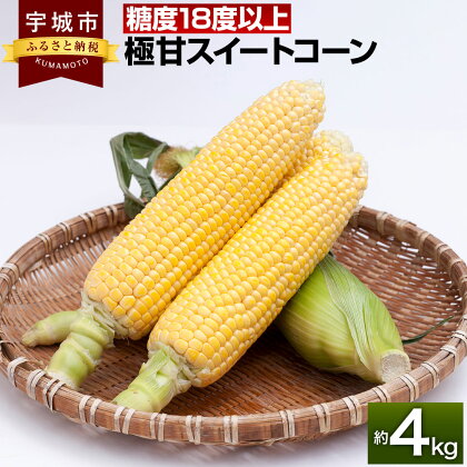 【先行予約】【2024年5月上旬から順次発送】極甘 スイートコーン 約4kg （12～14本）山本農園 コーン とうもろこし トウモロコシ 玉蜀黍 糖度18度以上 甘い 野菜 やさい 国産 九州産 熊本産 送料無料