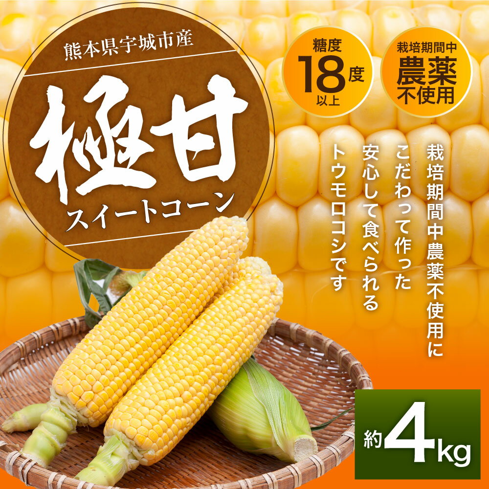 【ふるさと納税】 【先行予約】【2024年5月上旬から順次発送】極甘 スイートコーン 約4kg （12～14本）山本農園 コーン とうもろこし トウモロコシ 玉蜀黍 糖度18度以上 甘い 野菜 やさい 国産 九州産 熊本産 送料無料