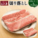 【ふるさと納税】くまもとあか牛 切り落とし 合計約1kg 約500g×2パック あか牛 牛肉 和牛 肉 切落し 国産 九州産 熊本県産 冷凍 送料無料(4)