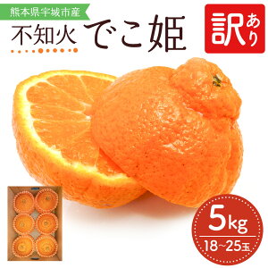 【ふるさと納税】 【先行予約】 不知火 訳あり でこ姫 約5kg 18〜25個 みかん 吉田レモニー 【2025年4月上旬〜2025年5月下旬発送】