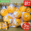 【ふるさと納税】 先行予約 不知火 訳あり でこ姫 約5kg 18~25個 みかん 吉田レモニー しらぬい 柑橘 宇城市産 熊本県産 九州産 国産 【2026年2月中旬-5月下旬発送】 オレンジ ミカン わけあり 傷 キズ 甘い 家庭用 自宅用 蜜柑 濃厚 ジューシー
