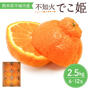 【ふるさと納税】【 先行予約 】 不知火 でこ姫 約2.5kg 6〜12玉 吉田レモニー 【2025年4月上旬〜2025年5月下旬発送】