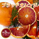【ふるさと納税】 先行予約 ブラッドオレンジ 約3kg 15玉〜25玉 吉田レモニー オレンジ 柑橘 みかん 宇城市産 熊本県産 九州産 国産 送料無料 【20...