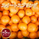 【ふるさと納税】 先行予約 スイートスプリング 約5kg 10〜13玉 吉田レモニー みかん 柑橘 宇城市産 熊本県産 九州産 国産 送料無料 【2026年2月...