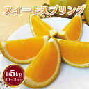 【ふるさと納税】 先行予約 スイートスプリング 約5kg 10~13玉 みかん 柑橘 宇城市産 熊本県産 九州産 国産 送料無料 吉田レモニー 【2026年2月上旬頃~2026年4月下旬発送】
