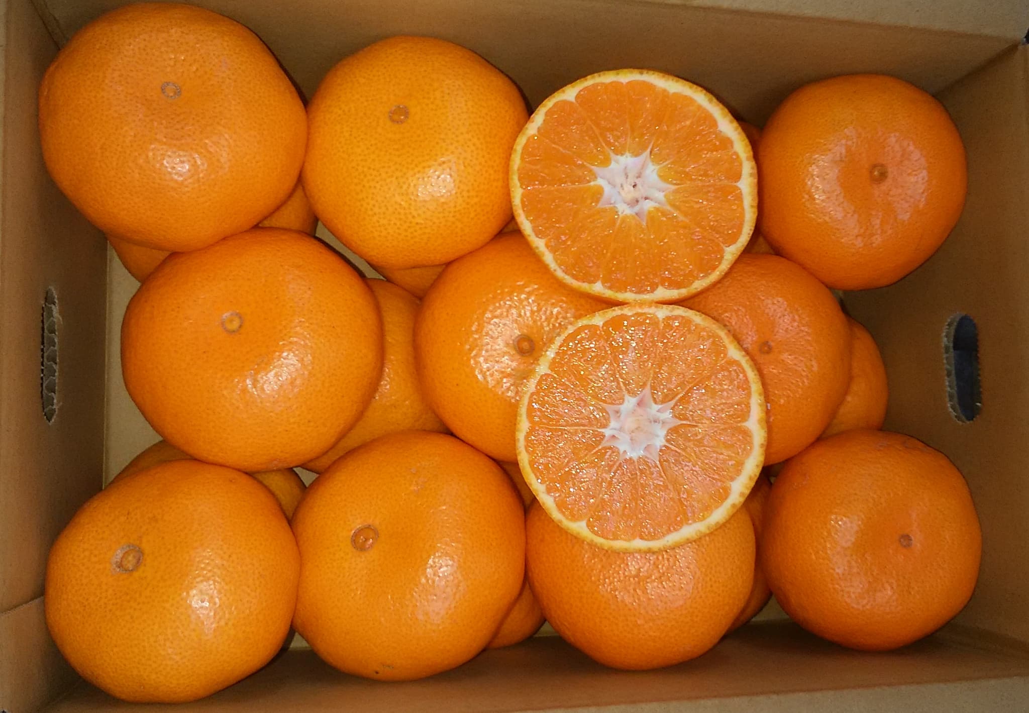 熊本県宇城市の画像2